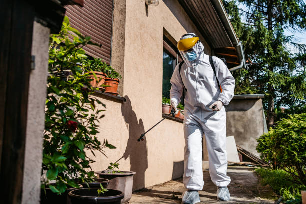 Best Best Pest Control Companies  in Elephant Butte, NM