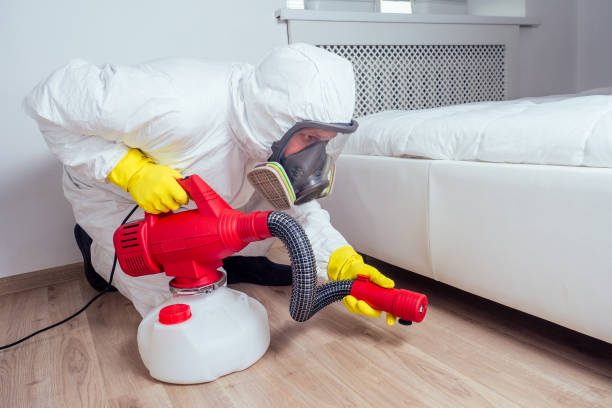 Best Pest Control Near Me in Elephant Butte, NM