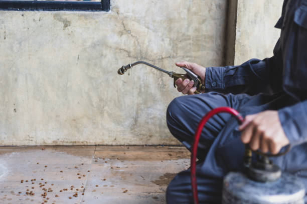 Best Mosquito Control Services  in Elephant Butte, NM