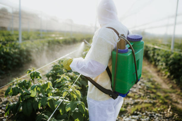Professional Pest Control in Elephant Butte, NM